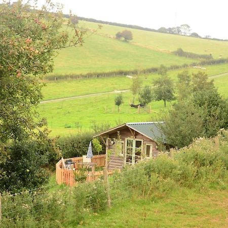 Woolcombe Cabin East Allington Exteriör bild