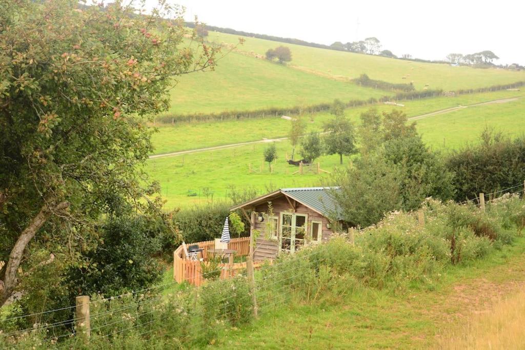 Woolcombe Cabin East Allington Exteriör bild
